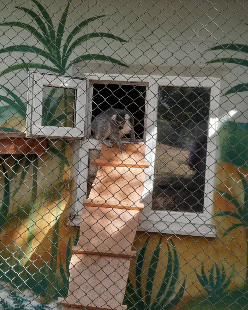 Наши подопечные из Логойского дома-интерната побывали на представлении в Минском дельфинарии «Немо»