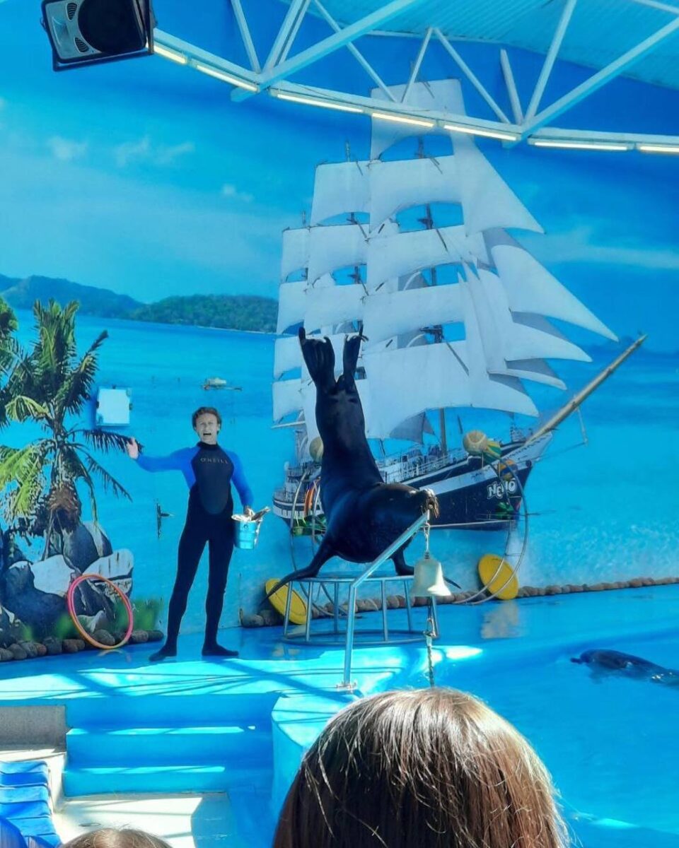 Наши подопечные из Логойского дома-интерната побывали на представлении в Минском дельфинарии «Немо»